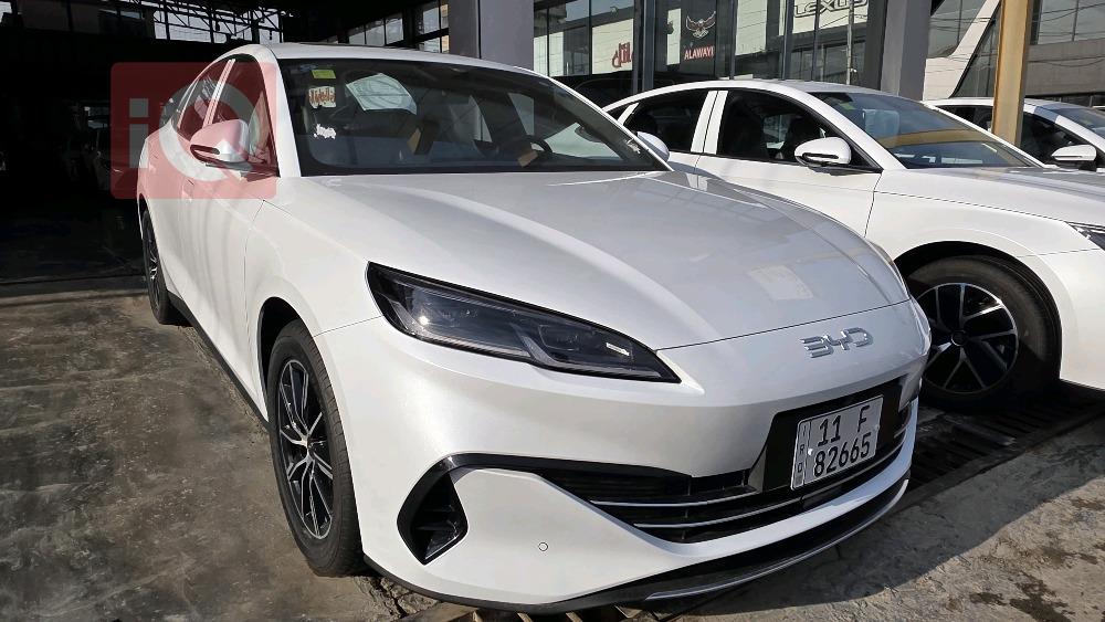 بي واي دي سيل 06 DM-i